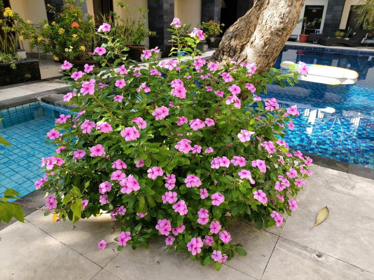 Radha Bali Hotel Кута Екстер'єр фото
