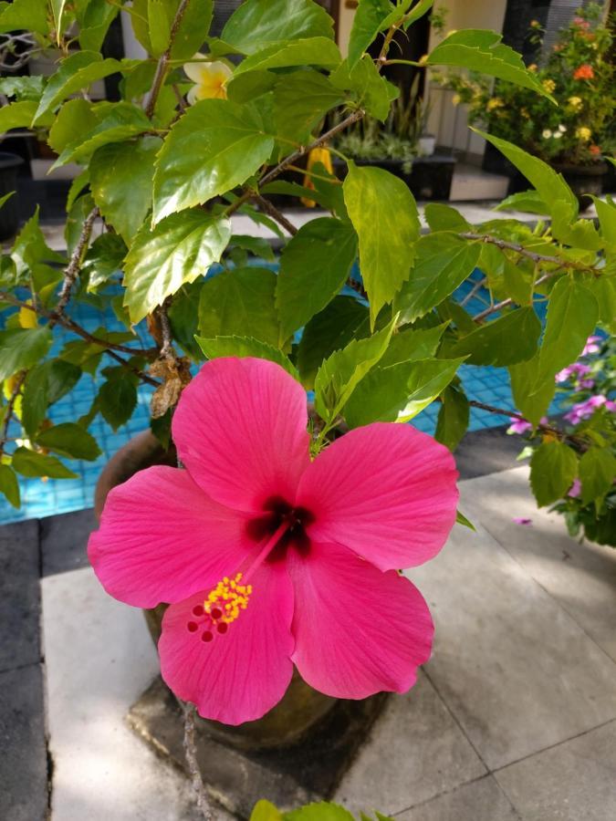 Radha Bali Hotel Кута Екстер'єр фото