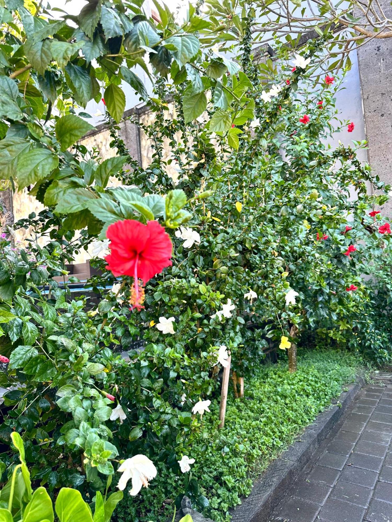 Radha Bali Hotel Кута Екстер'єр фото